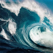 Rogue Wave