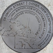 Birthplace of the Teenage Mutant Ninja Turtles