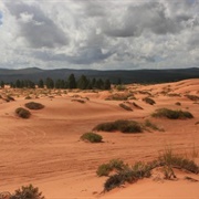 Coral Pink Sand Dunes