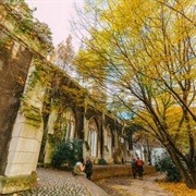 The Ruins of St. Dunstan-In-The-East