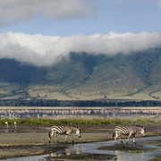 Ngorongoro Crater, Tanzania