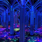 Go to a Funhouse or Mirror Maze