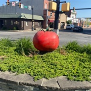 Quality Tomato Capital of the World Statue