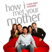 How I Met Your Mother (208)
