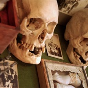 Obscura Antiques and Oddities (Permanently Closed)