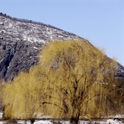 Cold Spring, New York