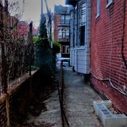 Spruce Hill Bird Sanctuary