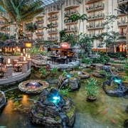 Gaylord Opryland Resort Gardens, TN