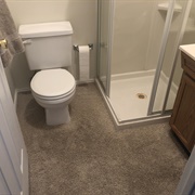 Carpet in Bathroom