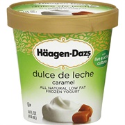 Häagen-Dazs Dulce De Leche Caramel Frozen Yogurt