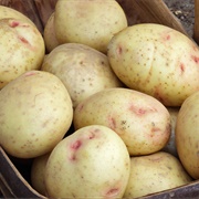 Irish White Potato