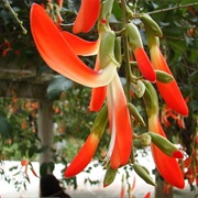 Jardim Botânico De São Paulo