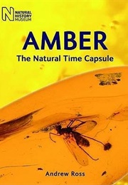 Amber (Andrew Ross)