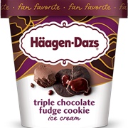 Häagen-Dazs Triple Chocolate Fudge Cookie Ice Cream