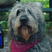 High Maintenance: "Grandpa" (S1,E3)