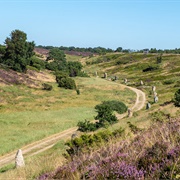 Kongenshus Mindepark