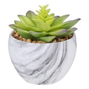Artificial Succulent