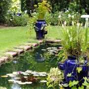 Edison and Ford Winter Estates Gardens, Florida