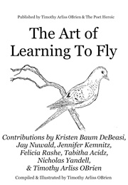 The Art of Learning to Fly (Timothy Arliss O'Brien)