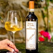 Vernaccia