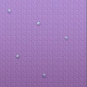 Deposit 10 Pokémon With a Bold Nature!