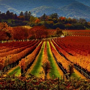 Napa Valley, USA
