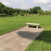 Stephen F. Austin Memorial State Historic Site, Texas