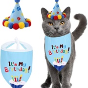 Give Your Cat a Birthday Bandana a Birthday Bandana