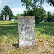 The Lost Arm of F. Stewart