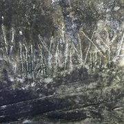 Luther Elkins Petroglyphs