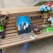 Matthew Shepard Memorial Bench