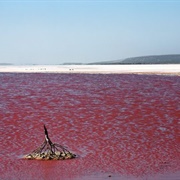 Hutt Lagoon