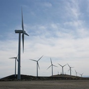 Wild Horse Wind Farm