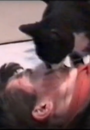 Кровавые Коты-Убийцы (1996)