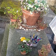 Grave of Marguerite Duras
