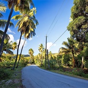 Fig Tree Drive, Antigua & Barbuda