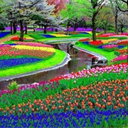 Keukenhof Gardens, the Netherlands