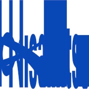 Hisamitsu Pharmaceutical (Japanese Company)