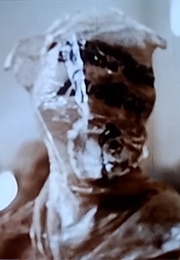 Poet/Philosopher (Corke) (1973)