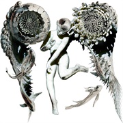 Galatea - Doon Kanda