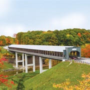 Smolen-Gulf Bridge, Ashtabula, Ohio, USA
