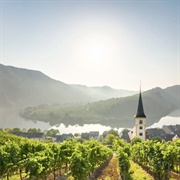 Moselle River