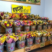 Trader Joe's Seasonal Bouquet