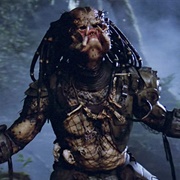 The Predator