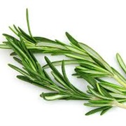 Fresh Rosemary