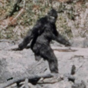 Go on a Sasquatch Hunt