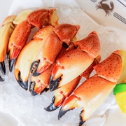 Florida Stone Crab