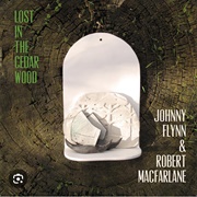 Lost in the Cedar Wood (Johnny Flynn, 2021)