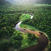 Amazon Rainforest, South America