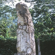 Alfred Russel Wallace's Grave